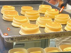 -狐狸和向日葵(北京路店)