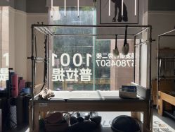 -1001普拉提运动