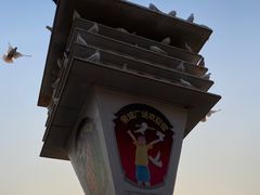 -泉城广场