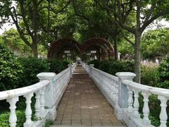 -百万葵园