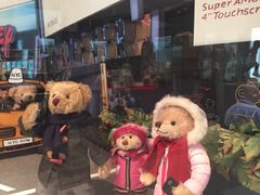 -济州岛泰迪熊博物馆