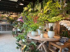 -自由生长植物工作室(深港花卉中心店)