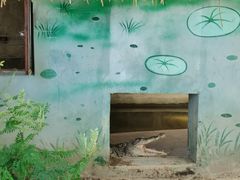 -泉州海丝野生动物世界