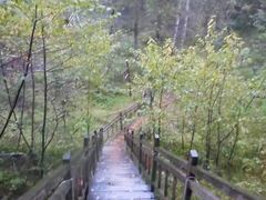 -峡谷浮石林景区