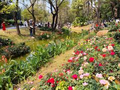 -人民公园(罗湖区)