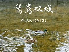 -元大都城垣遗址公园