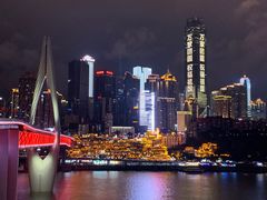 -石灰市毛记烧鸡公(解放碑店)