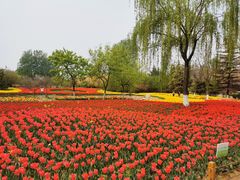 -济南植物园