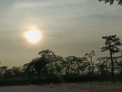 -芒洲湿地公园