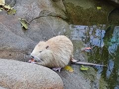 -北京野生动物园