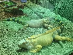 -海合安武汉极地海洋公园