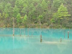 -玉龙雪山蓝月谷