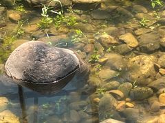 -熙古里艺术村