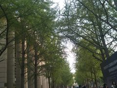 -北京化工大学(东校区)