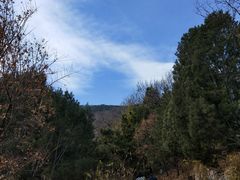 -北京鹫峰国家森林公园