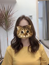 -OnHair造型