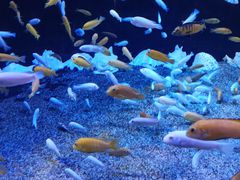 -成都浩海立方海洋公园