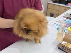 -瑞鹏宠物医院·超声·骨科·奇麟分院(蜀都万达店)