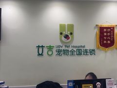 -艾吉宠物医院·疑难杂症转诊中心·猫友好(碧江路院)