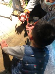 -酷嗒动物文化乐园(cutezoo西溪乐天城店)