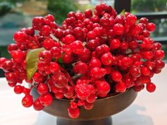 -苏浙汇(肇嘉浜路总店)