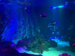 -沈阳海洋探索中心