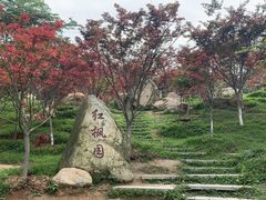 -广州市帽峰山景区