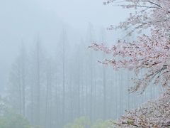 -杭州少年儿童公园
