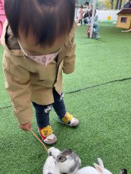 -萌宠亲子动物乐园(槐房万达店)