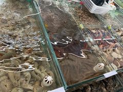-南戴河海滨市场