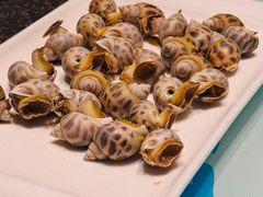 -王庄阿咪海鲜大排档(象园店)