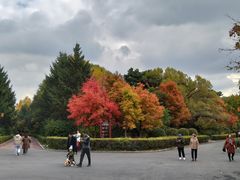 -长春市南湖公园