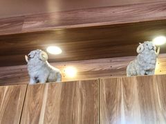 -九府羊鲜羊火锅·烧烤(任丘东风美食街店)