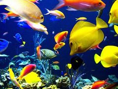 -成都浩海立方海洋公园