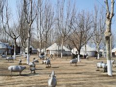 -九十九顶毡房(阜石路店)