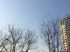 -中国人民解放军第九医学中心(306医院)