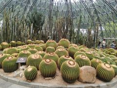 -深圳仙湖植物园