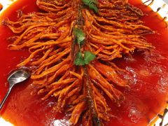 -丹江渔村(望京店)