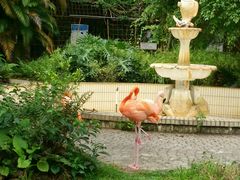 -广东茂名森林公园
