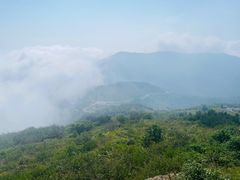 -阳台山自然风景区