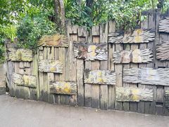 -西双版纳基诺山寨