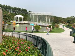 -迪茵湖田家舍生态农场