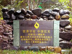 -张家港金凤凰度假村温泉