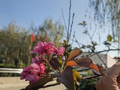 -上海崧泽遗址博物馆