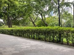 -晓港公园