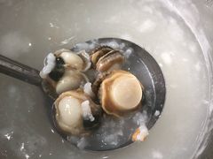 粥水锅底-蚝专家