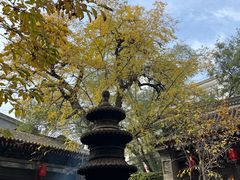 -湘子庙