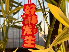 -四川饭店(城乡购物中心店)