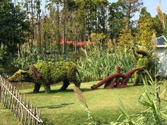 -上海长兴岛郊野公园