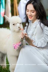 点击看大图 -花漾摄影优选工作室(东莞原创作品店)